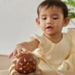 PlanToys Pull-Along Hedgehog Wooden Toy