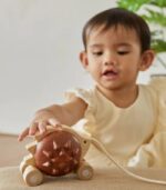PlanToys Pull-Along Hedgehog Wooden Toy