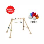 Buy 1 Play Gym and Get 1 Free Baby Car