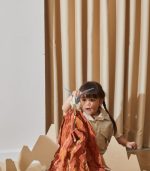PlanToys D.I.Y - Pterodactyls