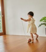 PlanToys Pull-Along Hedgehog Wooden Toy