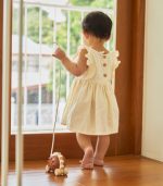 PlanToys Pull-Along Hedgehog Wooden Toy