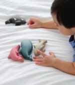 PlanToys Sea Life Set