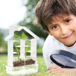 PlaySteam Plant Maze Botany Kit Set