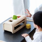 PlanToys Shape and Sort