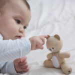 PlanToys Wooden Little Bear