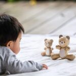 PlanToys Bear and Little Bear