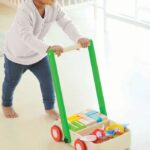 PlanToys Bird Walker