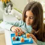 SmartGames Cats and Boxes