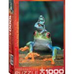 EuroGraphics Red-Eyed Tree Frog