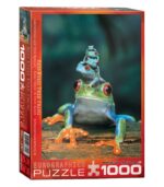 EuroGraphics Red-Eyed Tree Frog