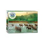 EuroGraphics Save The Planet! Animal King - 1000 Pcs Puzzle