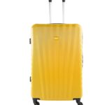 Senator 20-Inch Carry-On Trolley