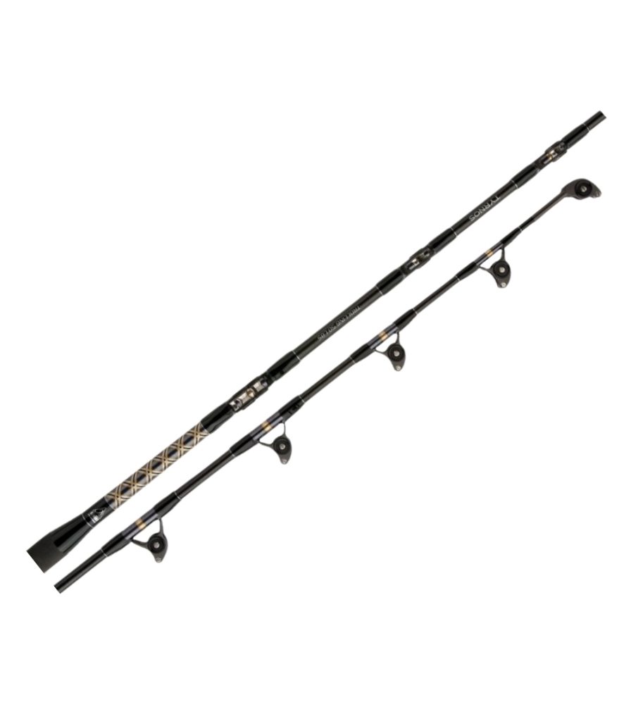 Shimano Tyrnos Trolling Rod