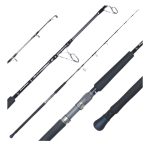 Ripple Fisher Ocean Arrow 6615 Jigging Rod