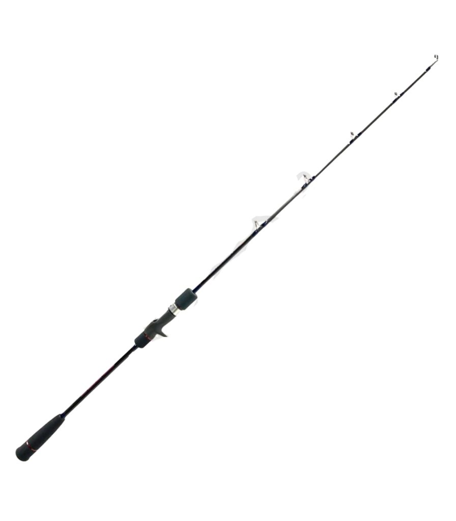 Deep Liner Mania Fellows